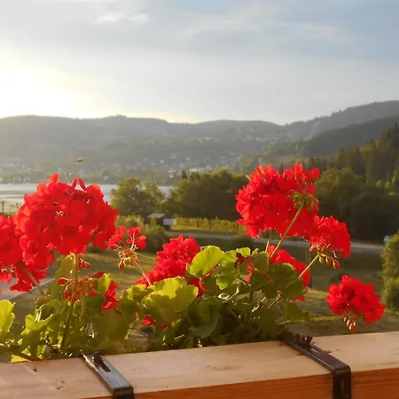 Gerardmer : Appartement 43M2, Classe 3*, Vue Lac Exterior photo