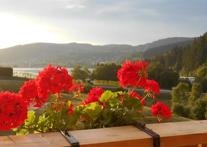 Gerardmer : Appartement 43M2, Classe 3*, Vue Lac
