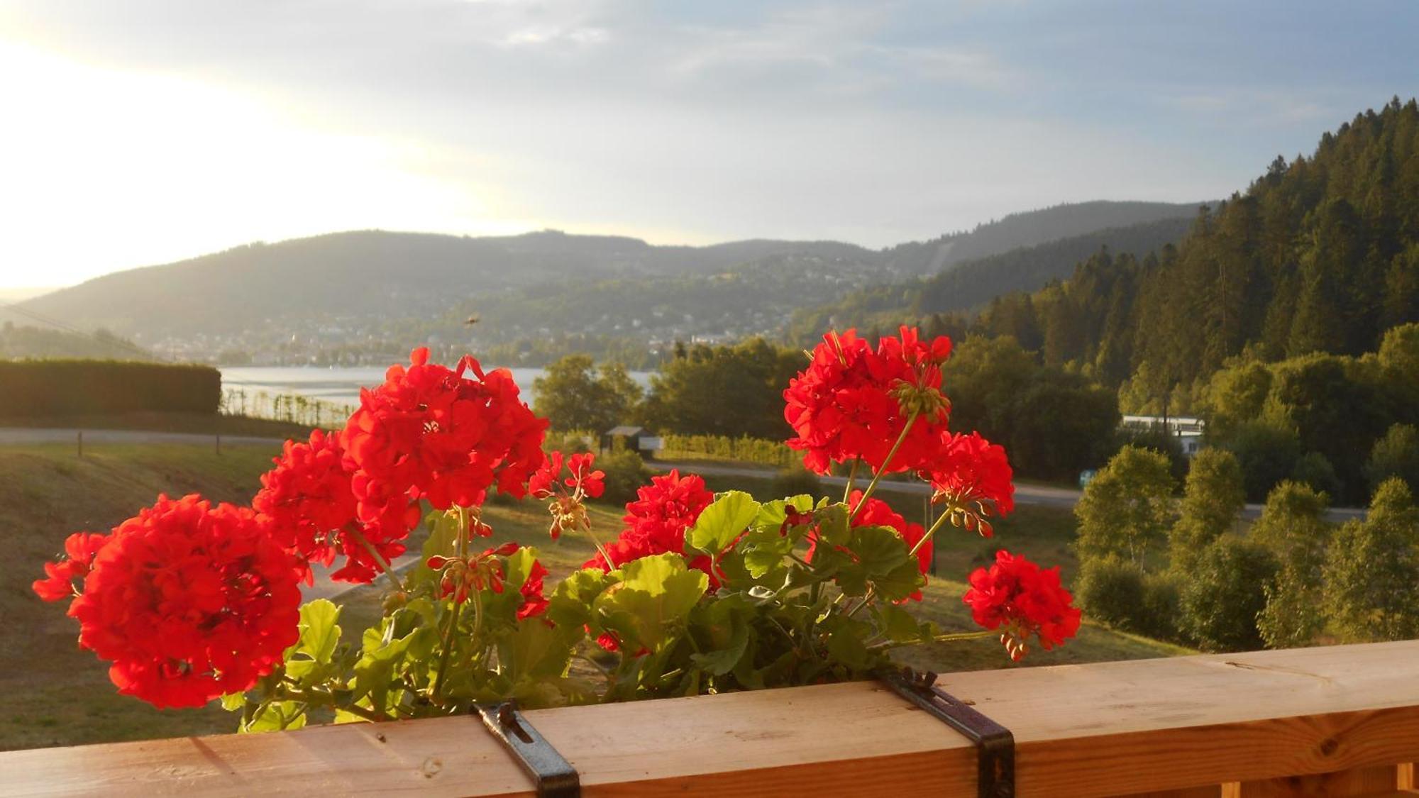 : 43m2, Classe 3*, Vue * Gerardmer